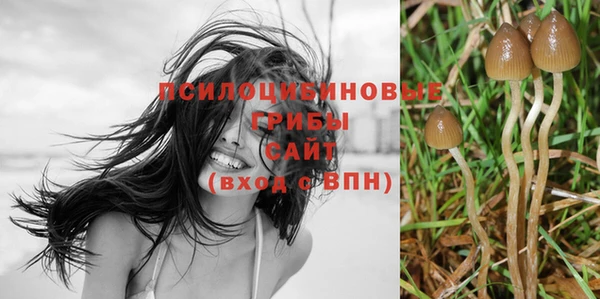 mdpv Карпинск