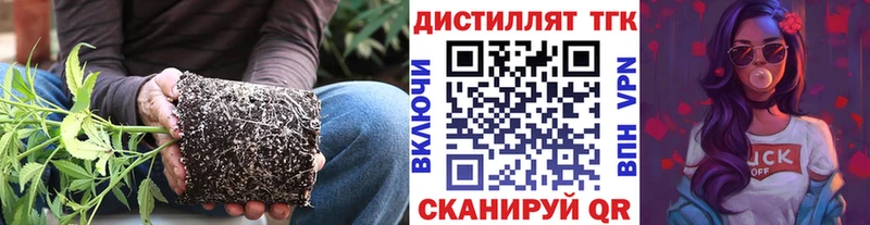 ОМГ ОМГ ONION  купить наркотик  Кондопога  ТГК концентрат 