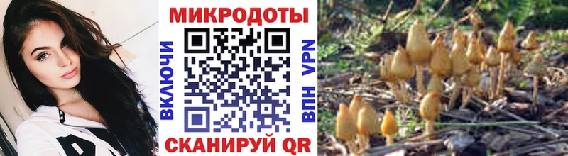 Галлюциногенные грибы GOLDEN TEACHER  shop наркотические препараты  Кондопога 