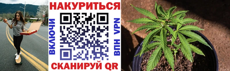 цена Кондопога ссылка на мегу вход МАРИХУАНА семена